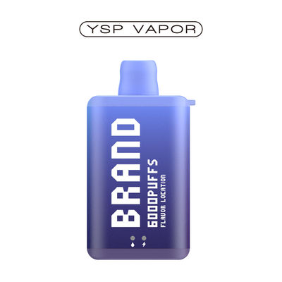 10 ml 6000 Puff Vape E Cigarette επαναφορτιζόμενο μόνιμο κουτί βιπ